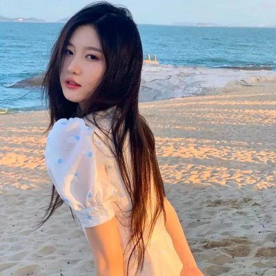 我们的法兰西岁月